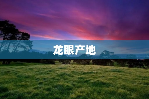 龙眼产地:从哪里来的呢?