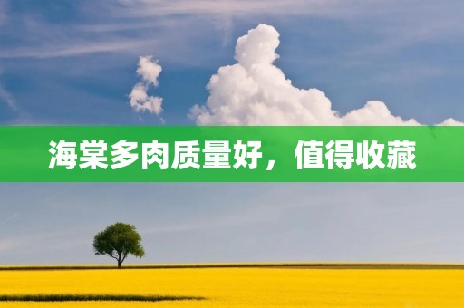 海棠多肉质量好,值得收藏