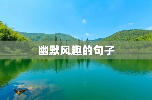 幽默风趣的句子
