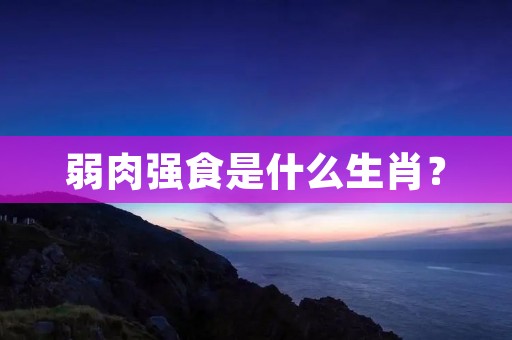 弱肉强食是什么生肖?