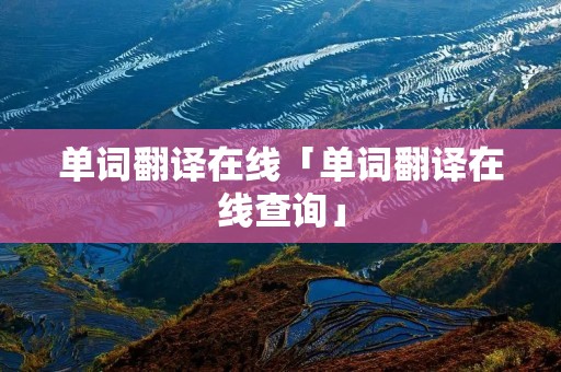 单词翻译在线「单词翻译在线查询」 单词翻译在线「单词翻译在线查询」