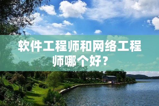 软件工程师和网络工程师哪个好？