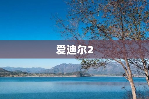 爱迪尔2:智能家居最佳选择 爱迪尔2:智能家居最佳选择