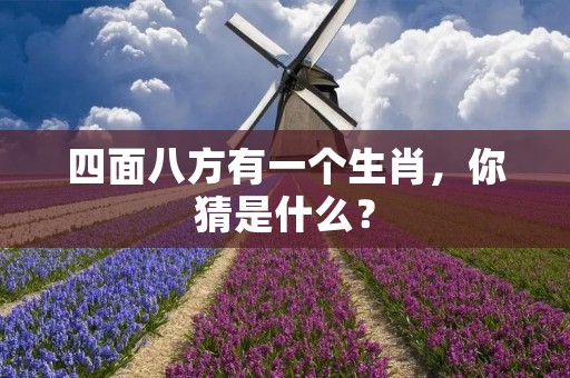 四面八方有一个生肖，你猜是什么？