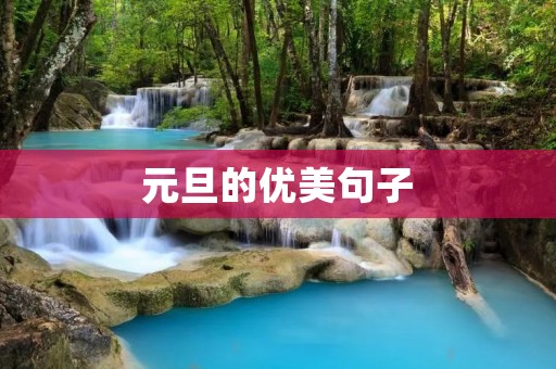 元旦的优美句子