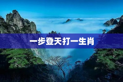 一步登天打一生肖 一步登天打一生肖