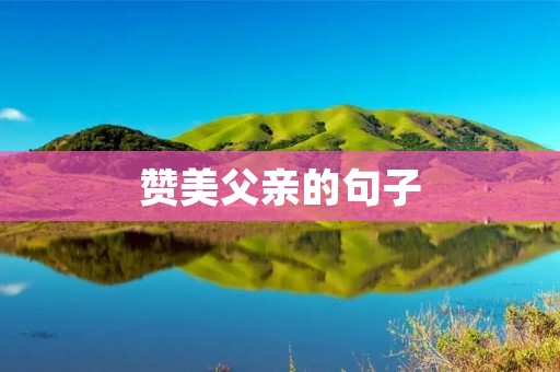 赞美父亲的句子