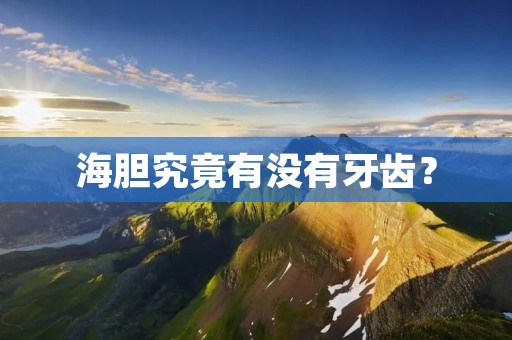 海胆究竟有没有牙齿?