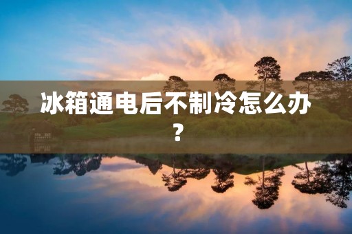 冰箱通电后不制冷怎么办？