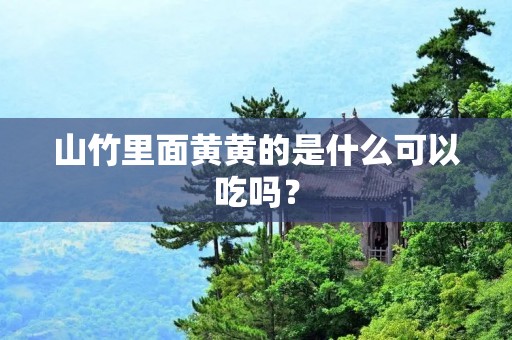 山竹里面黄黄的是什么可以吃吗?