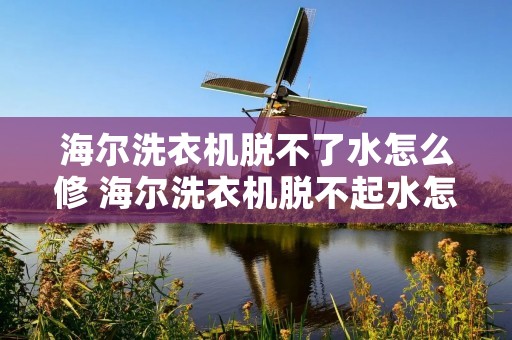 海尔洗衣机脱不了水怎么修 海尔洗衣机脱不起水怎么办