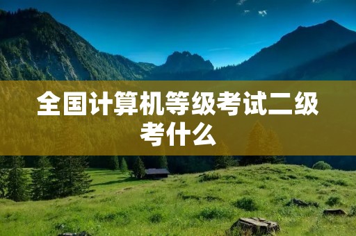 全国计算机等级考试二级考什么