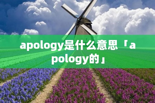 apology是什么意思「apology的」 apology是什么意思「apology的」