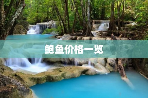 鲍鱼价格一览:不同品种、不同产地、不同规格的价格对比