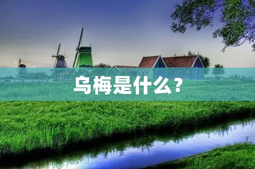 乌梅是什么?