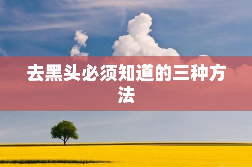 去黑头必须知道的三种方法 去黑头必须知道的三种方法