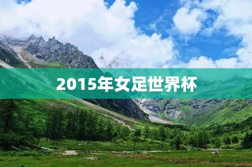 2015年女足世界杯:中国队表现不佳 2015年女足世界杯:中国队表现不佳