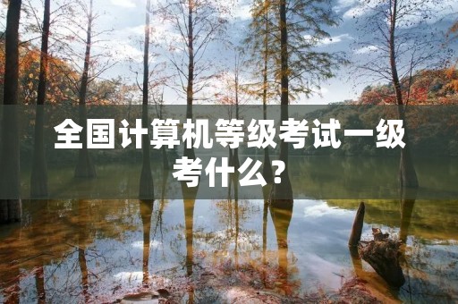 全国计算机等级考试一级考什么？