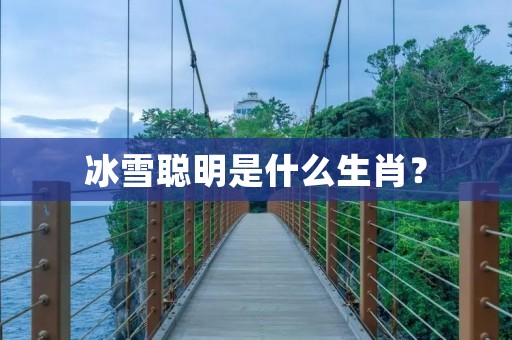 冰雪聪明是什么生肖？