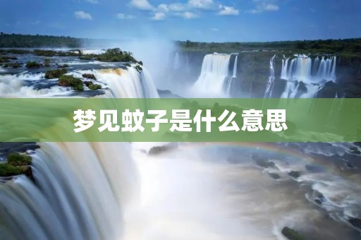 梦见蚊子是什么意思