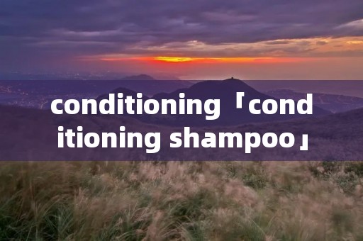 conditioning「conditioning shampoo」 conditioning「conditioning shampoo」