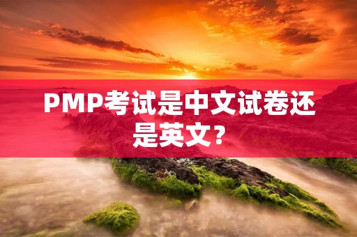 PMP考试是中文试卷还是英文? PMP考试是中文试卷还是英文?