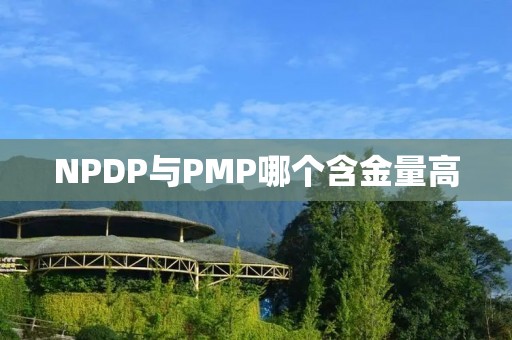 NPDP与PMP哪个含金量高
