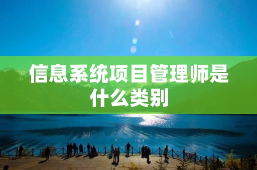 信息系统项目管理师是什么类别