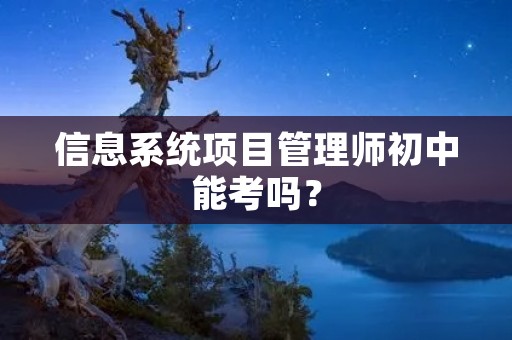 信息系统项目管理师初中能考吗？