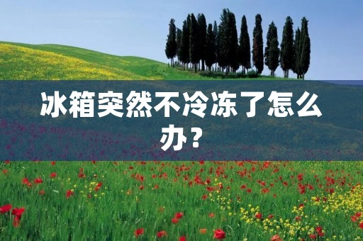 冰箱突然不冷冻了怎么办？