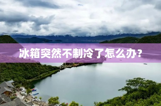 冰箱突然不制冷了怎么办? 冰箱突然不制冷了怎么办?