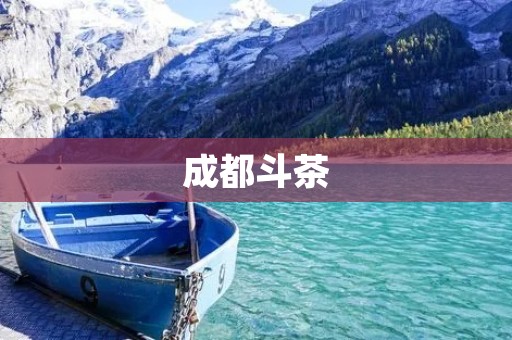 成都斗茶:一场传统与现代的碰撞