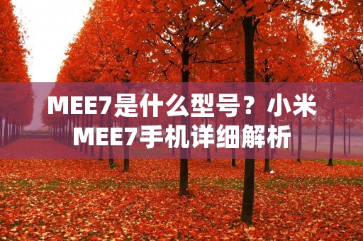 MEE7是什么型号？小米MEE7手机详细解析