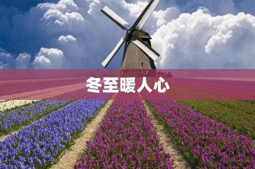 冬至暖人心