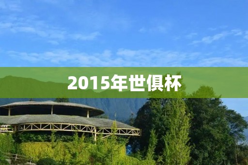 2015年世俱杯：巴萨夺冠，梅西第三次当选MVP