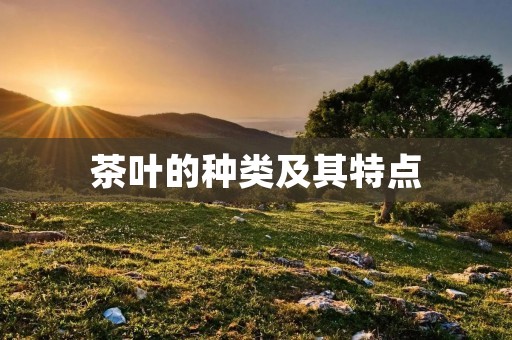 茶叶的种类及其特点