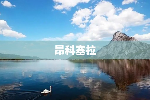 昂科塞拉:新时代的智能豪华SUV 昂科塞拉:新时代的智能豪华SUV