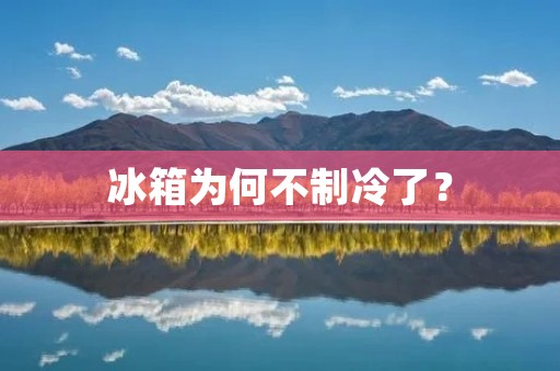 冰箱为何不制冷了？