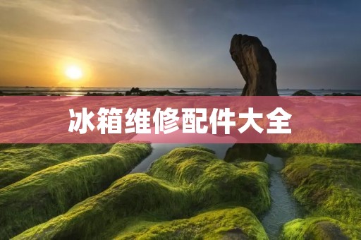 冰箱维修配件大全 冰箱维修配件大全