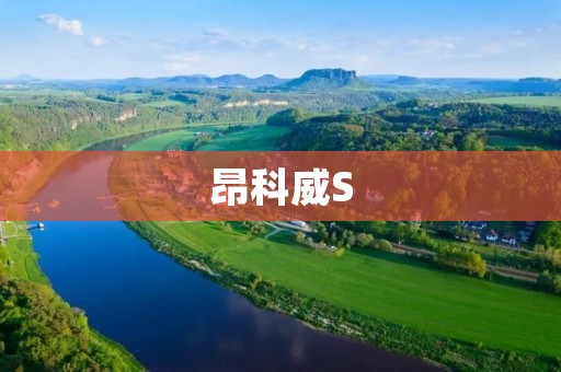 昂科威S：豪华SUV新标杆
