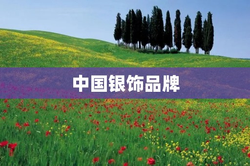 中国银饰品牌:打造国际一流的珠宝品牌