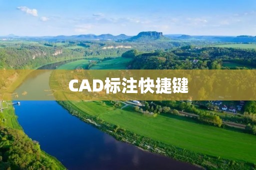 CAD标注快捷键:提高工作效率的必备技能 CAD标注快捷键:提高工作效率的必备技能