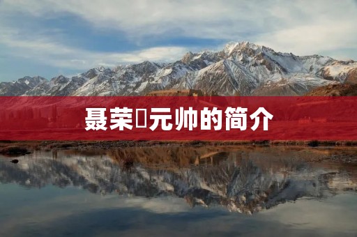 聂荣瑧元帅的简介