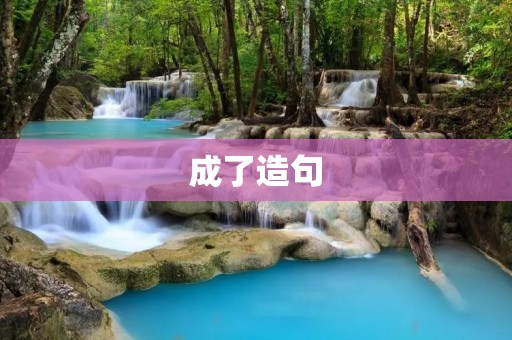 成了造句:如何提高汉语语言表达能力? 成了造句:如何提高汉语语言表达能力?