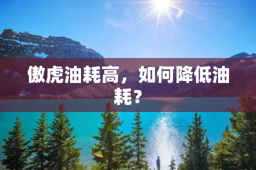 傲虎油耗高,如何降低油耗? 傲虎油耗高,如何降低油耗?