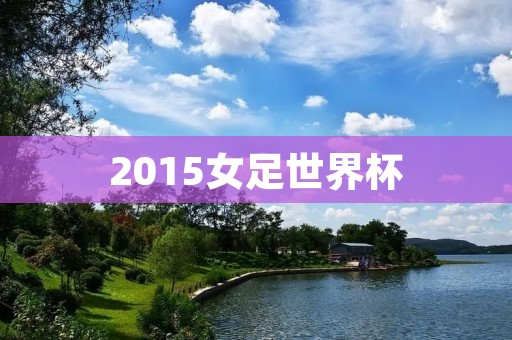 2015女足世界杯:中国队的历史性进军 2015女足世界杯:中国队的历史性进军