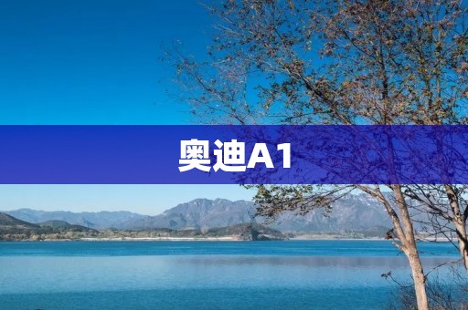 奥迪A1:豪华小车的代表 奥迪A1:豪华小车的代表