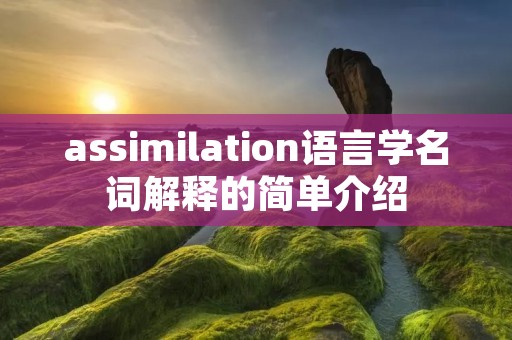 assimilation语言学名词解释的简单介绍