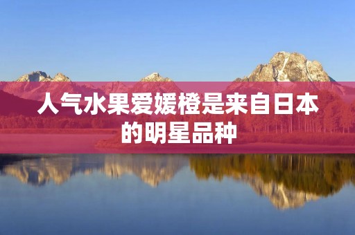 人气水果爱媛橙是来自日本的明星品种