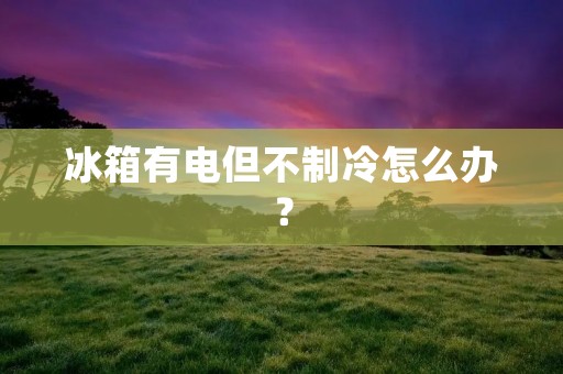 冰箱有电但不制冷怎么办?